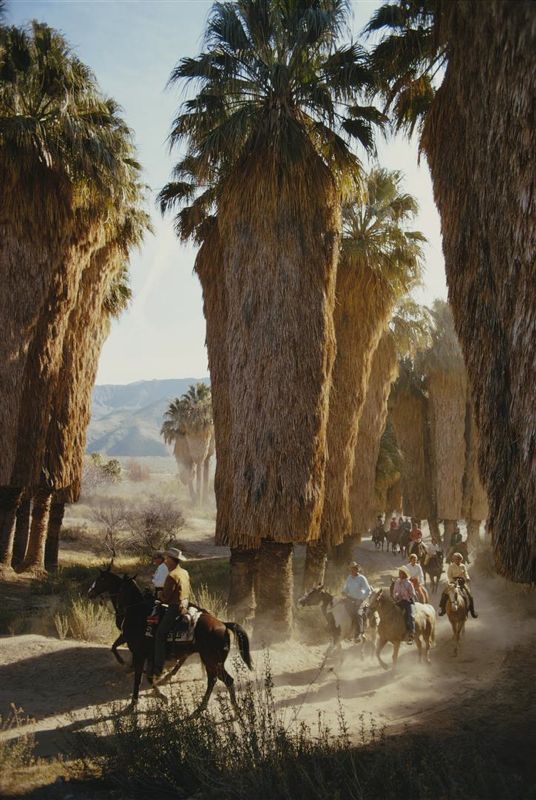 Palm Spring Riders