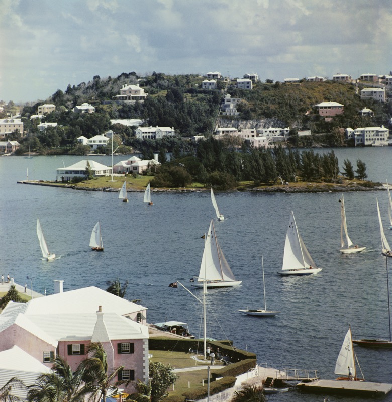 Bermuda View