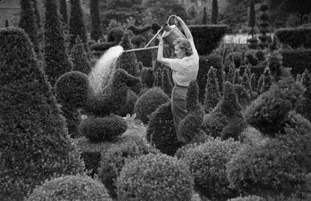 Watering At Kew