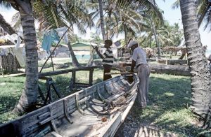 Mosquito Coast Boat Building