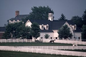 Horse Farm