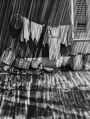 Laundry in Shadows
