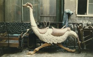 Paris Ostrich