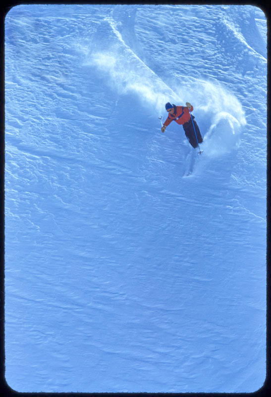 Downhill All The Way